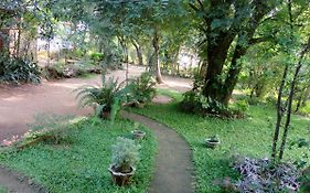 Sigiri Neo Homestay